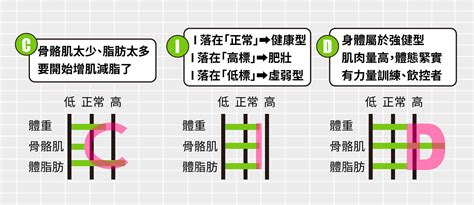 體型分析|InBody數據怎麼看？8個指標帶你全盤了解